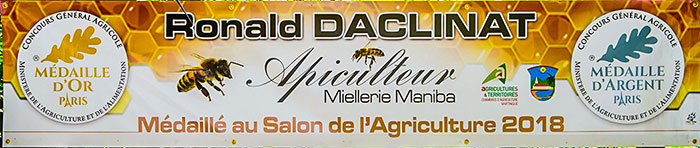 Miel de Martinique : les apiculteurs s'organisent pour protéger et
