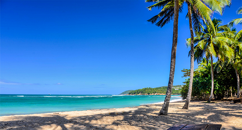 You are currently viewing Les plus belles plages de Martinique