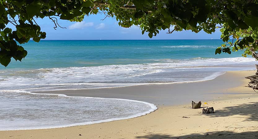 Lire la suite à propos de l’article Les belles plages de Sainte-Luce en Martinique