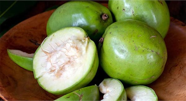 prune de cytere Martinique