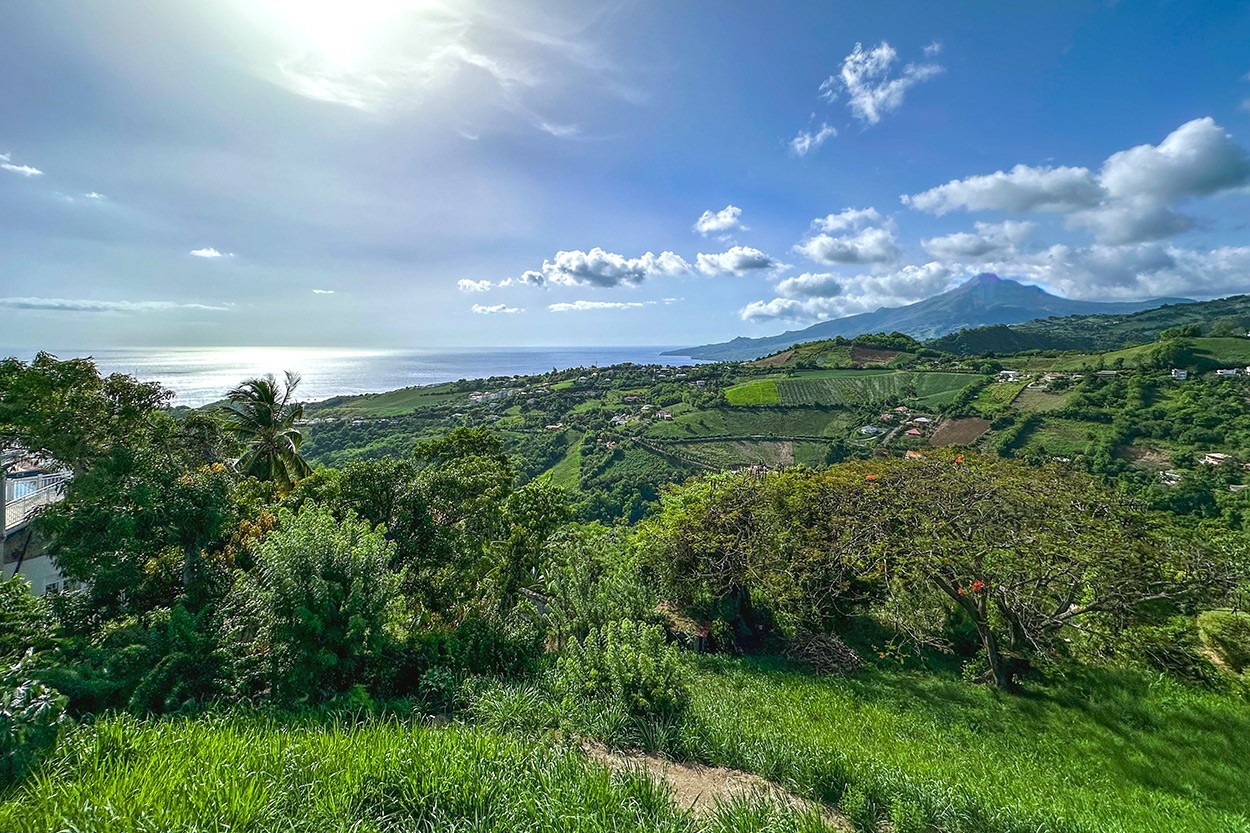 Vue Montagbe pelée