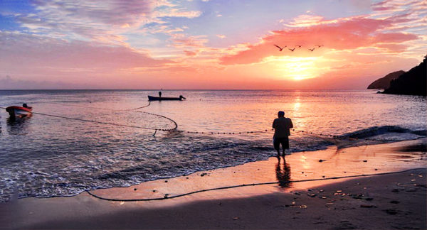 Quand partir en Martinique