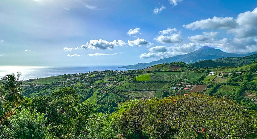 Lire la suite à propos de l’article Quel budget prévoir pour une semaine en Martinique ?