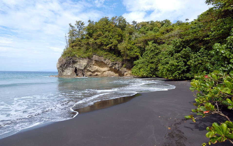 Lire la suite à propos de l’article 4 plages de sable noir incontournables à découvrir en Martinique
