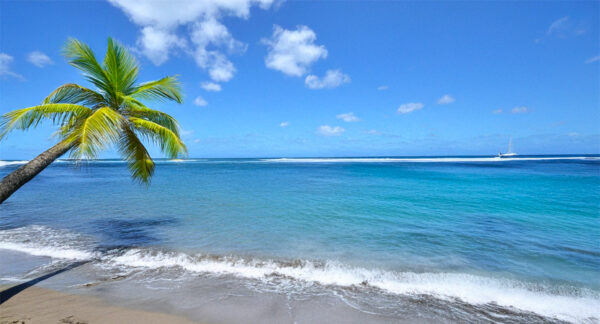 Lire la suite à propos de l’article Météo en Martinique en mars 2026 : le mois parfait pour voyager
