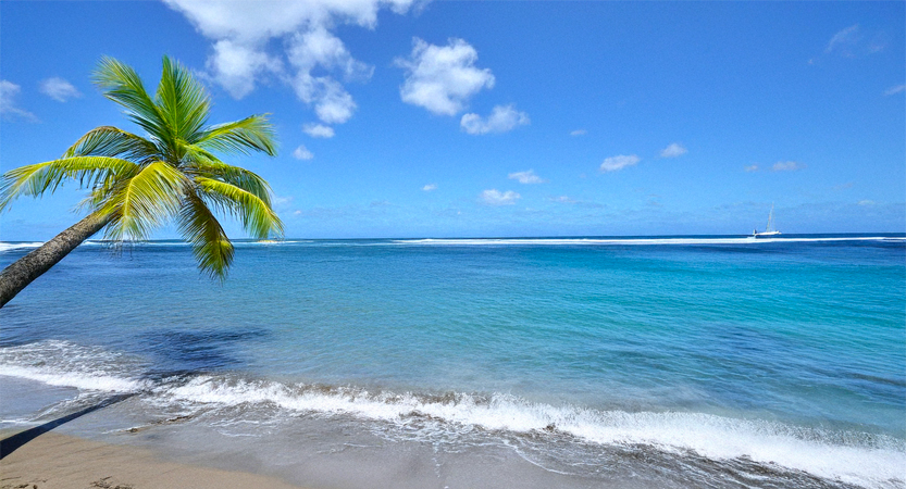 You are currently viewing Météo en Martinique en mars 2026 : le mois parfait pour voyager