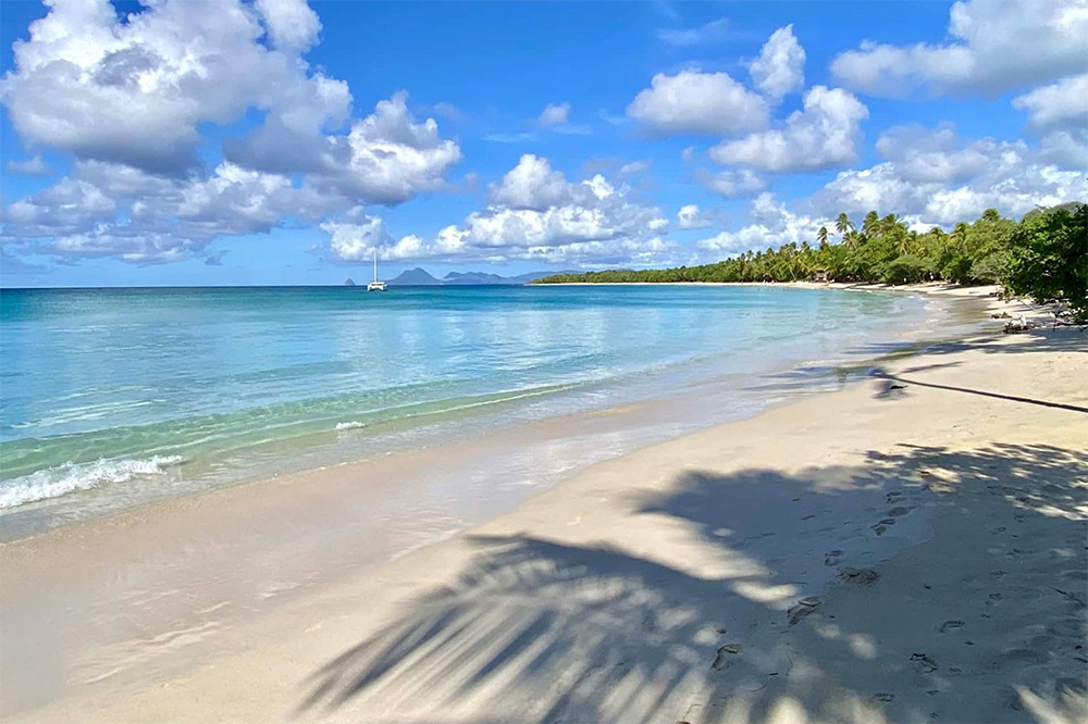 Plage des Salines Sainte-Anne Plage des Salines Sainte-Anne