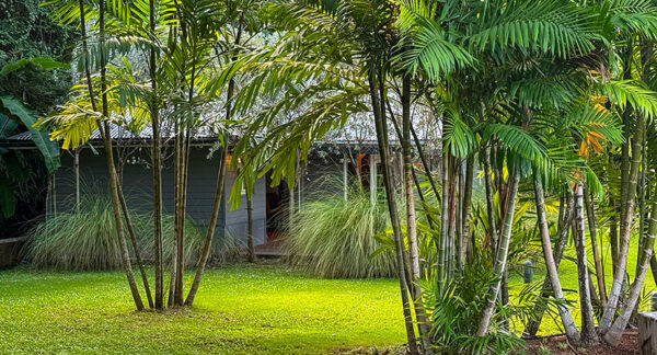 Où dormir en Martinique Pépite
