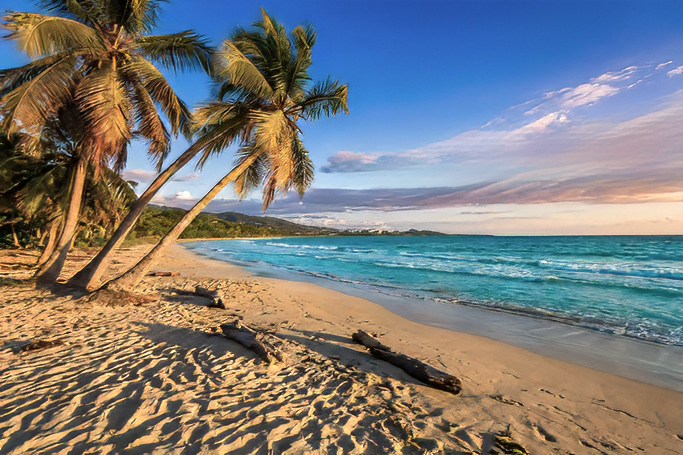 You are currently viewing Pourquoi le Sud Martinique est le centre de gravité de votre séjour ?