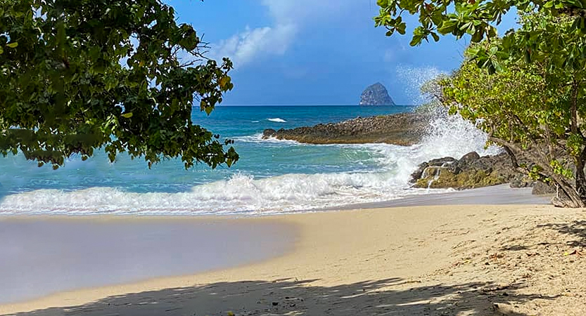 You are currently viewing Sainte-Luce Martinique  village pour vivre et séjourner en vacances