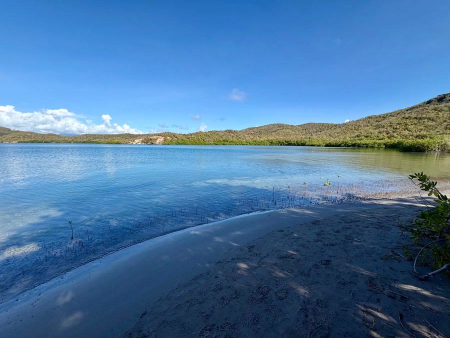 Baignade matinale à la Baie du Trésor